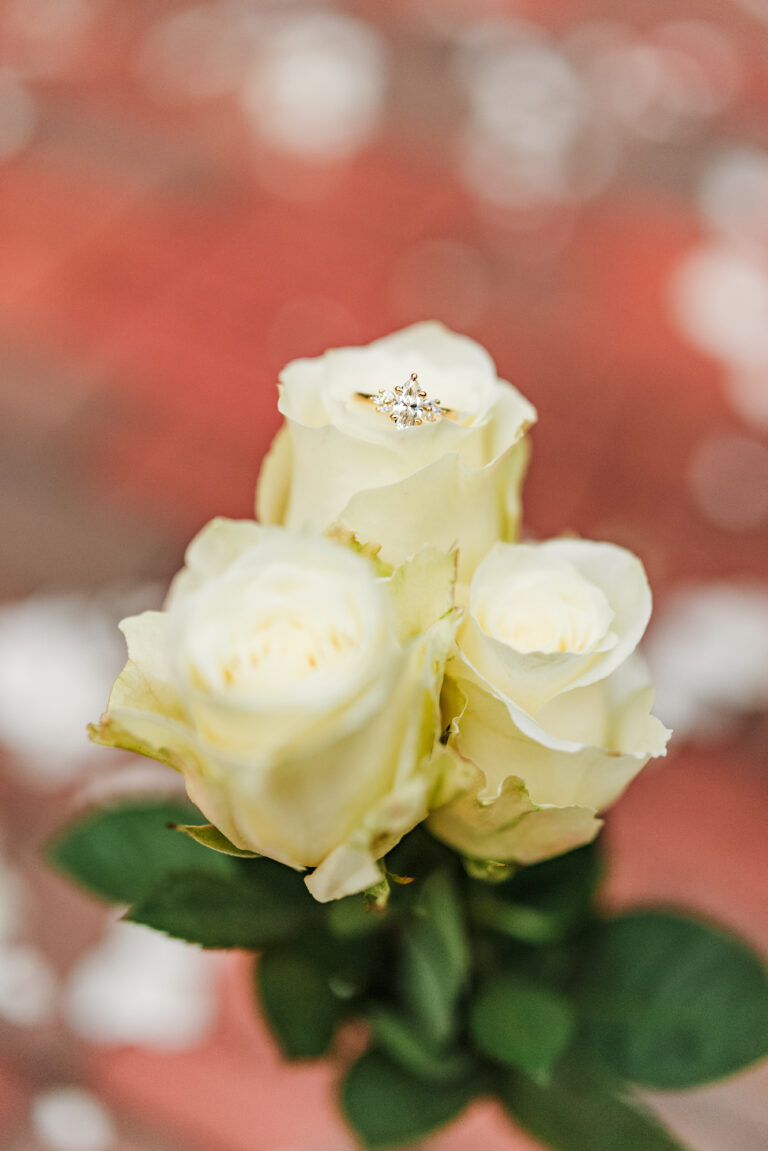 Kylee&Stephen-Proposal-212